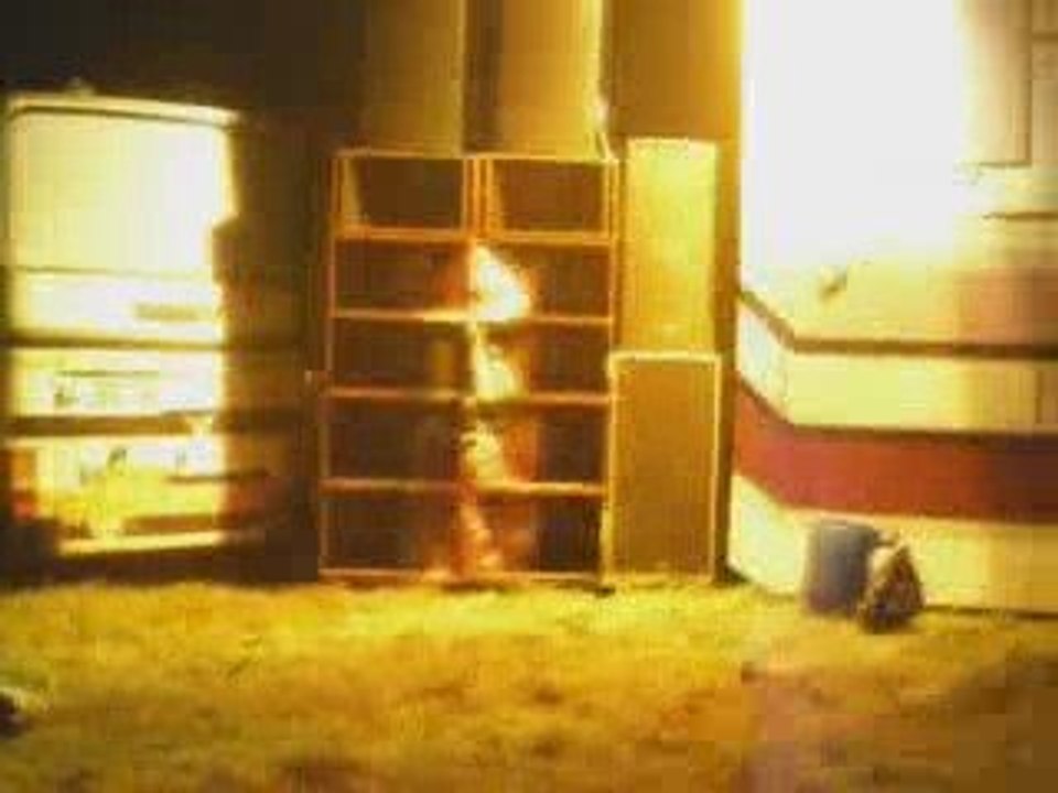 Multison 35 - Breizh invaders - La Perche bretonne LPB