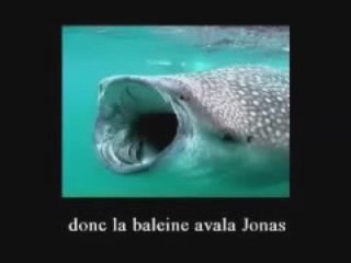 The Signs pt.30(L'infiltration de la religion