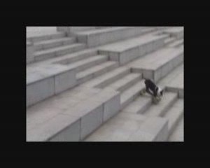 Neo and tuxedo skate at Bercy