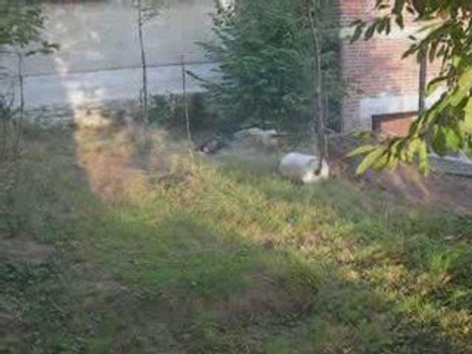 Savage 28 atérissage in the trous !