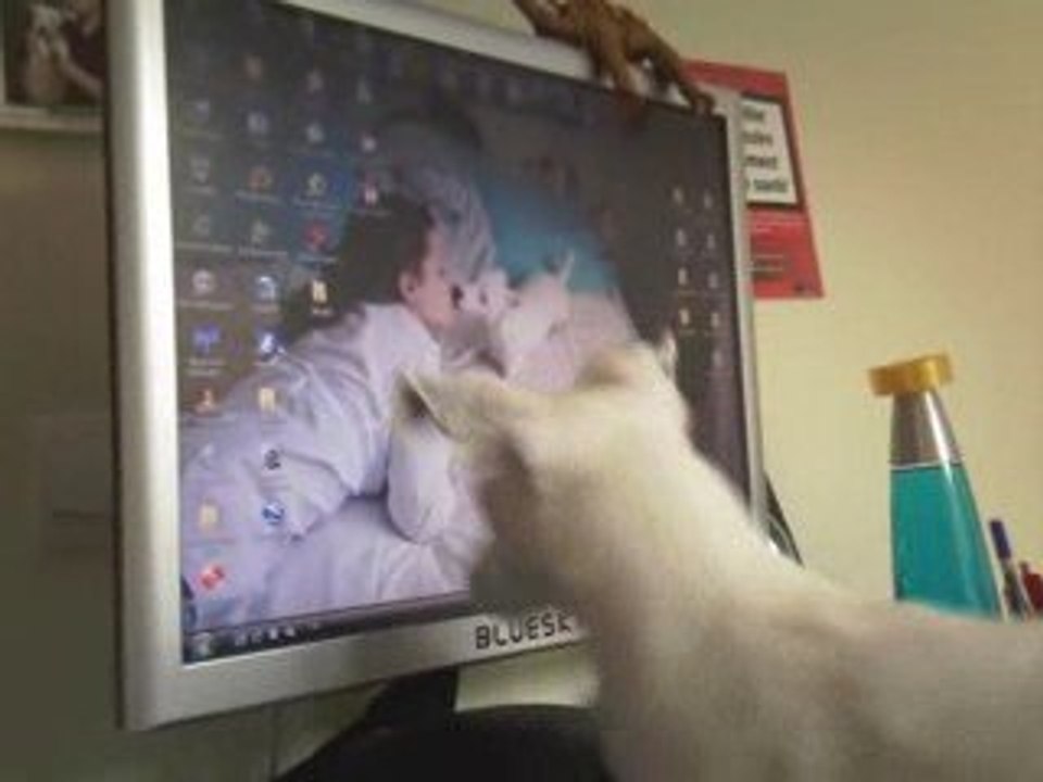 diva sur l'ordinateur