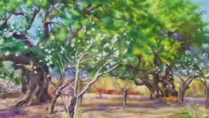 Plastic arts. A video in honour of Jaume Gubianas Jovés.