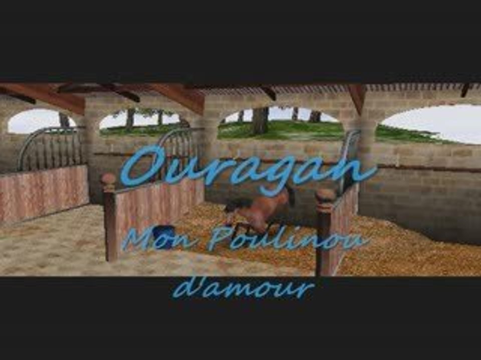 Les Dadous et Poulinous de mon écurie