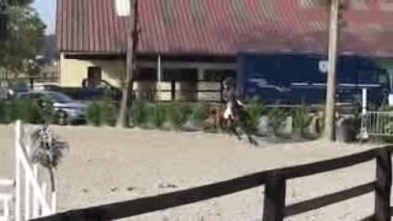 La Houssaye 03 10 09 Prépa 1M