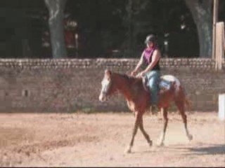 Concours Western du 04/10/09