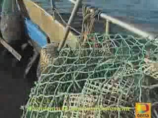 UFO Chase in Galicia CGI High Quality