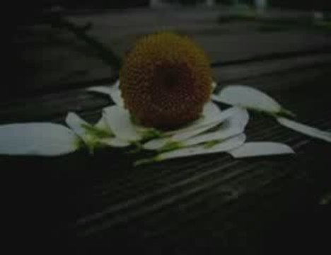 Yaşar & Yildiz Usmanova - Seni Severdim