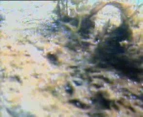 un film avec mon 1er rov, le TITUS