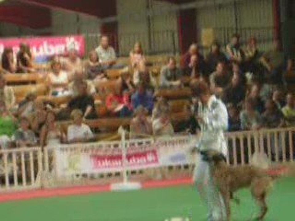 GPF d'Obérythmée Avignon