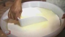 Le fromage de chèvre en Vendée