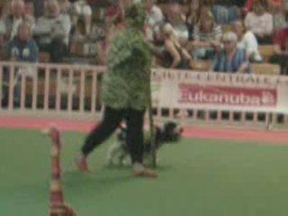 GPF d'Obérythmée Avignon