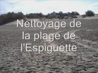 nettoyage de la plage de l'Espiguette, Dimanche 4 Octobre