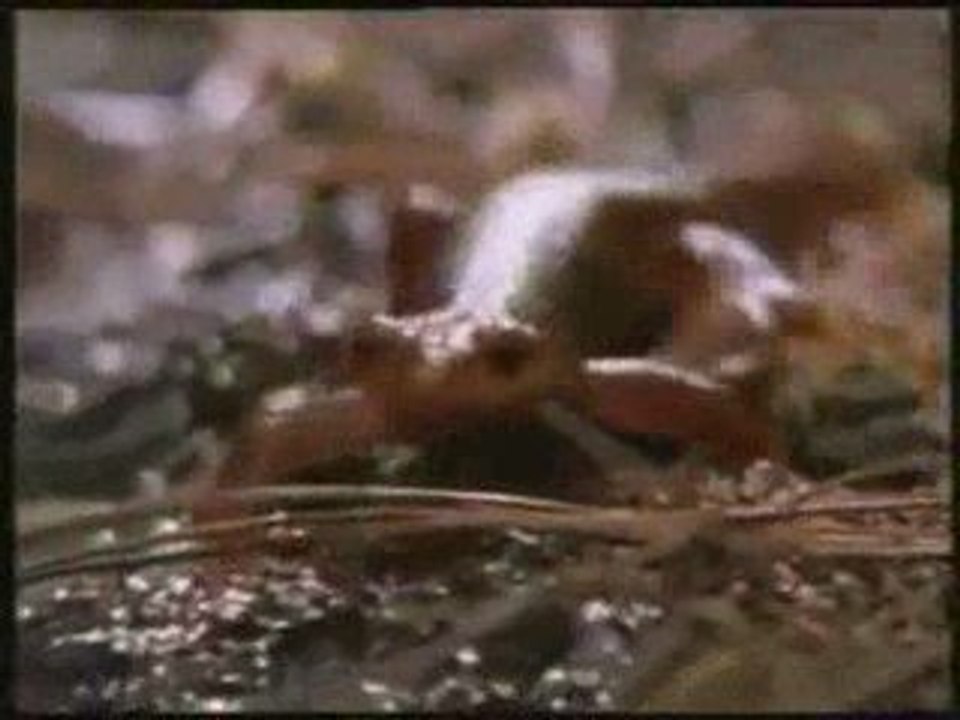 Kalın Derili KertenKele - Mukkemmel