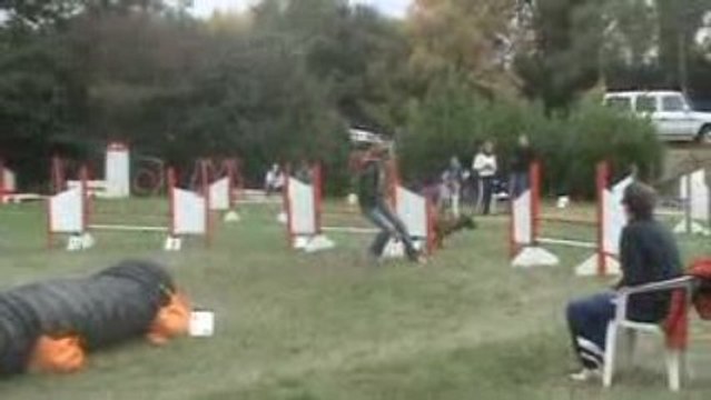 BOON Jumping Verrieres 10.09