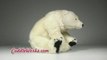 Big Stuffed Polar Bear at CuddleWorks.com