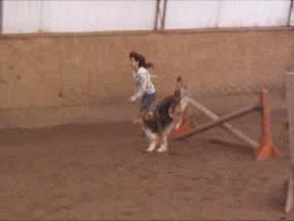 Chanelle qui saute