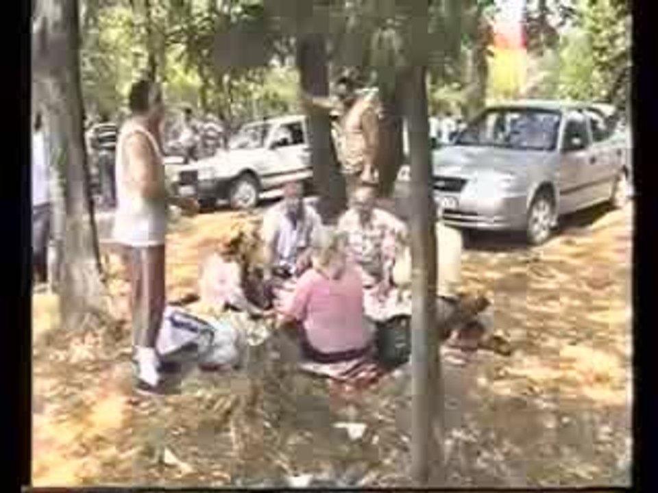 branichevo.com(sharvi)piknik 2007