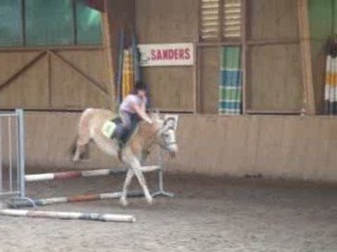 Saut d'Obstacle cours Galop 3/4 Mercredi 14h