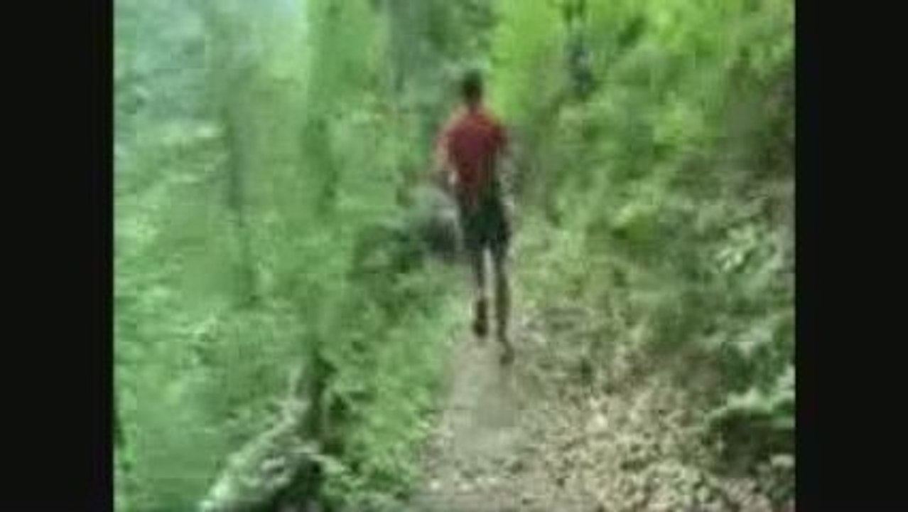 Olympus Marathon | Μαραθώνιος Ολύμπου