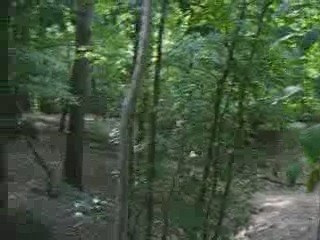 riders volants et bruyants!