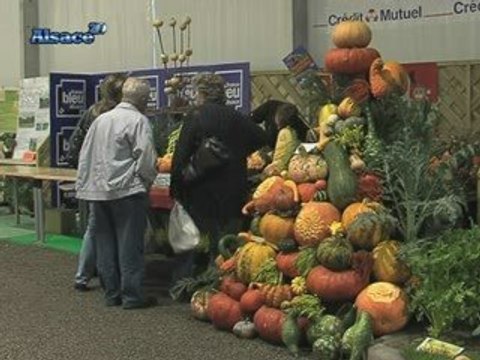 47ème Journées d'Octobre : Foire expo à Mulhouse