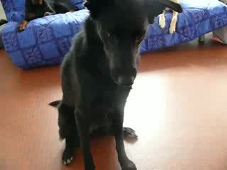 tina refus d'appat