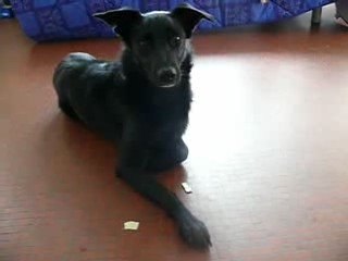 tina refus d'appat