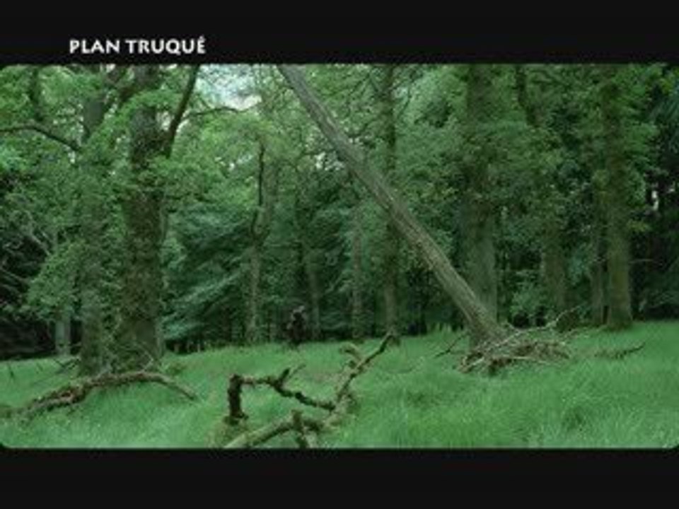 Man to man: crows