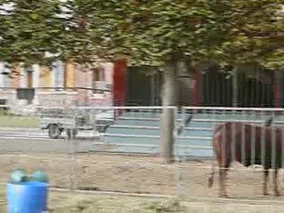 Crèvecoeur : la ménagerie du cirque sur la prairie