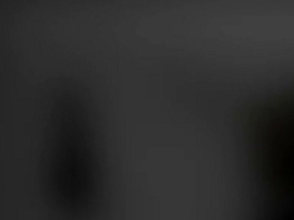 .[ P.E ]l. : Zenun. / PARTY ELECTRO