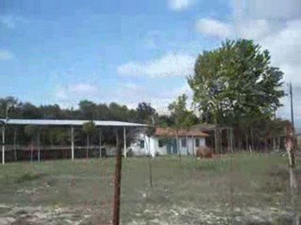 AKÇAPINAR KÖYÜ bayram gabacı