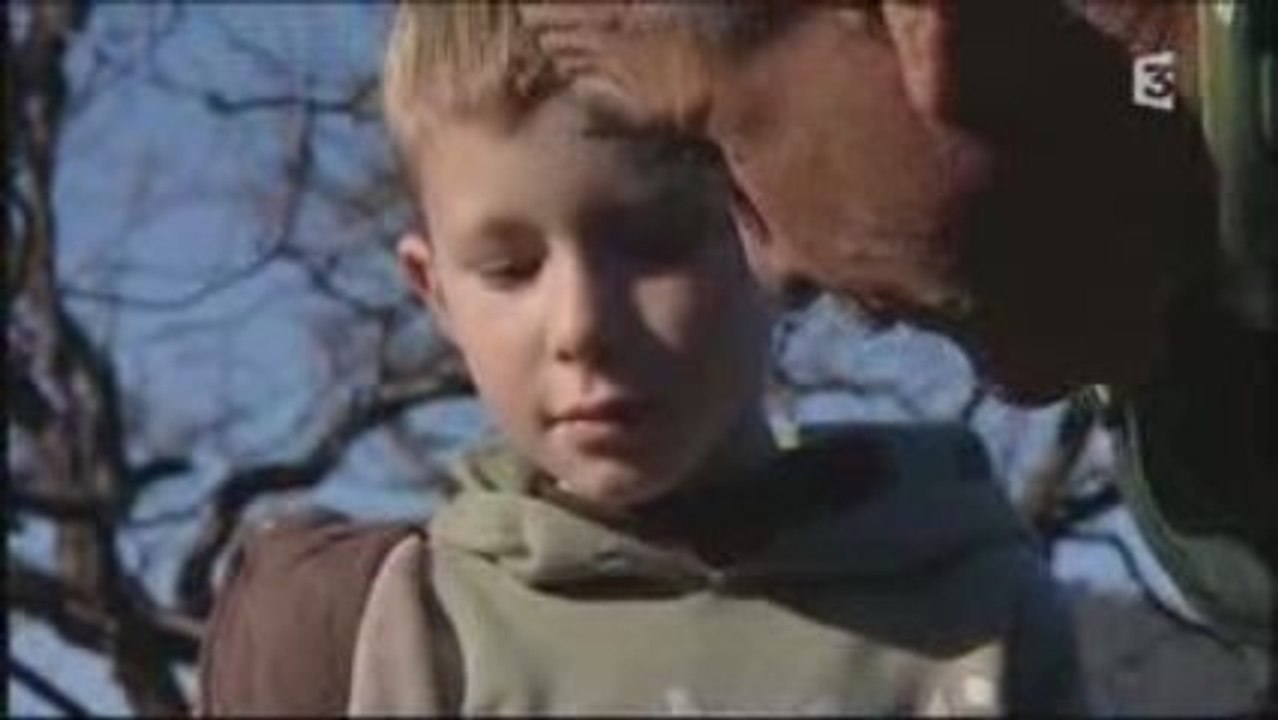 tanneron-habitat-foret