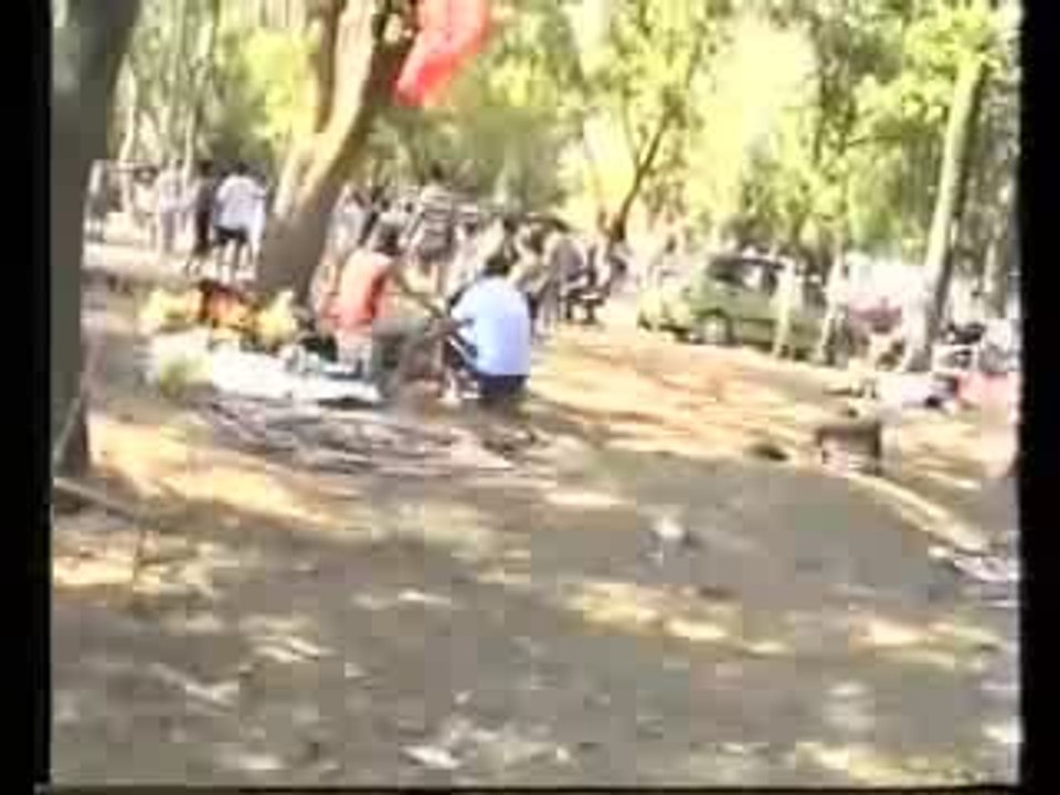 branichevo.com(sharvi)piknik 2007