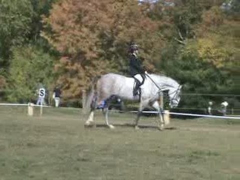 justine dressage club 1