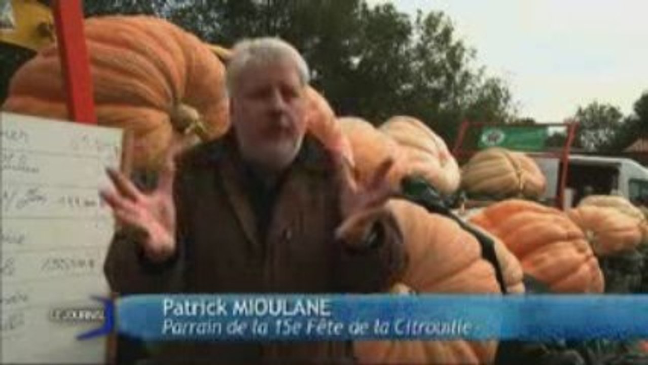 Le plus gros potiron de l'année désigné (La Mothe-Achard)
