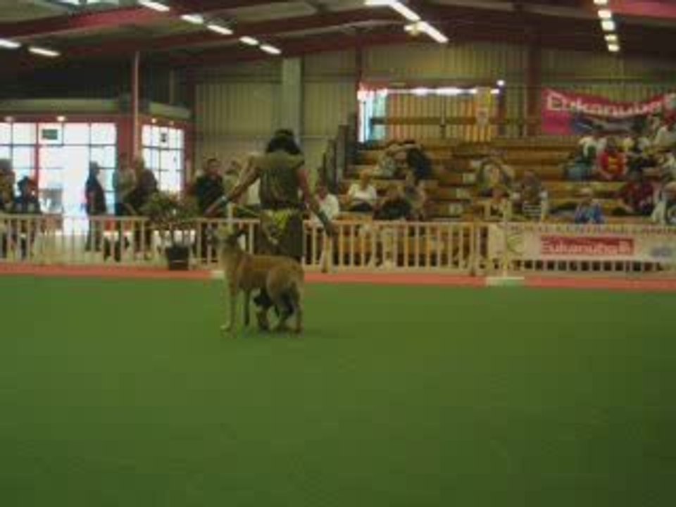 GPF d'Obérythmée Avignon