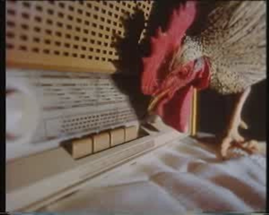 Ndr_rooster etc