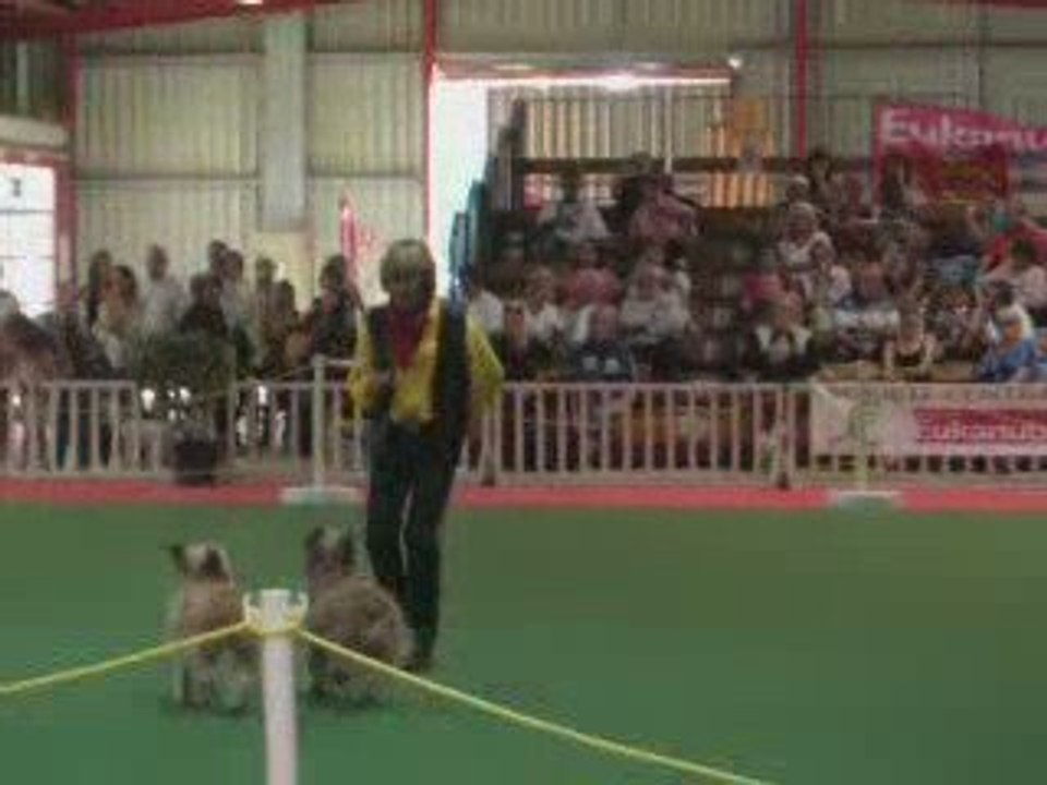 GPF d'obérythmée Avignon