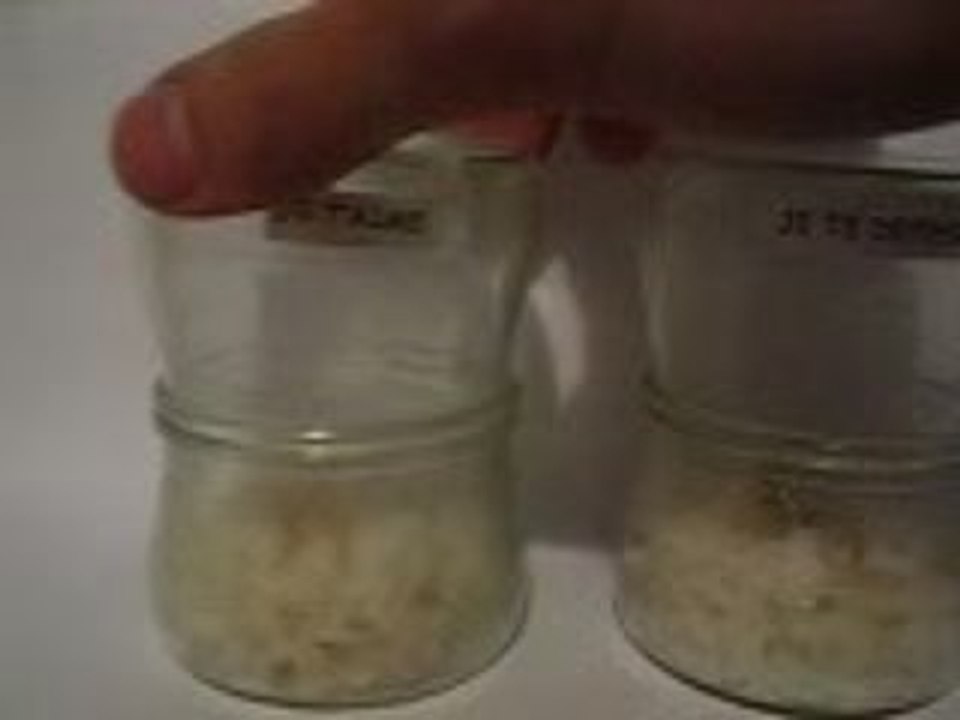 LLP Expérience du riz 2