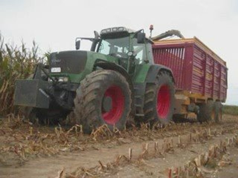 Otten à l'ensilage de maïs 09