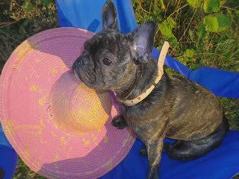 résultat concours photos