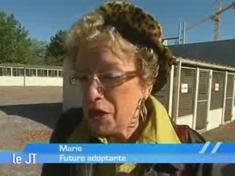 Portes ouvertes à la La SPA d'Angers