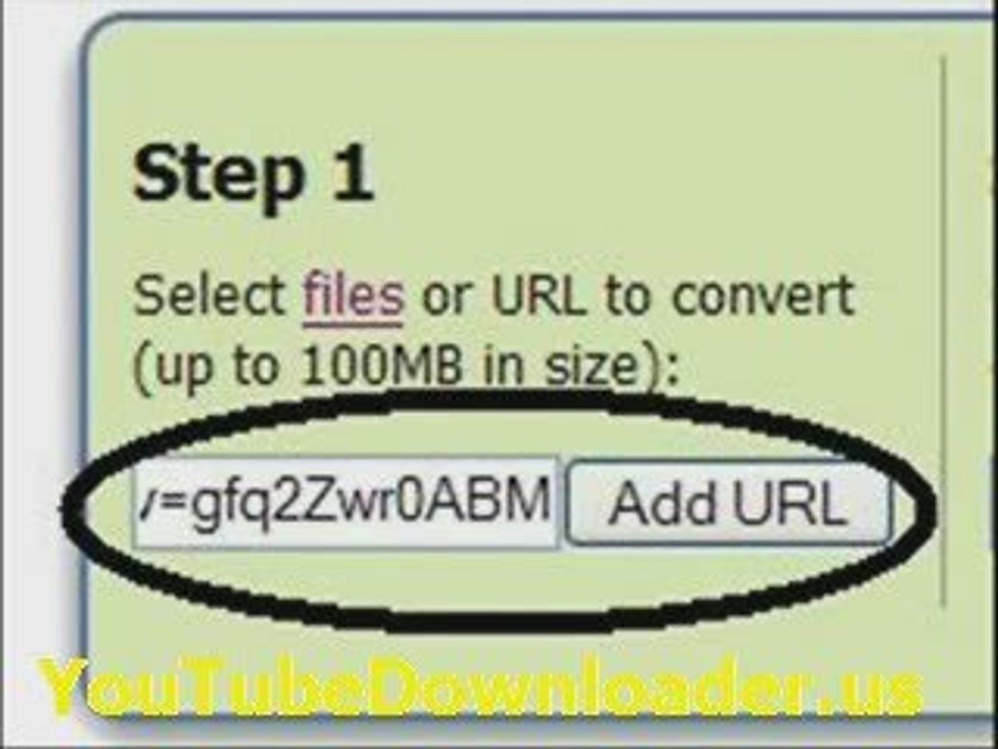 ⁣How to Download and Convert YouTube Videos