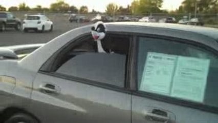 Used Subaru Impreza Sedan Roseville Davis Fairfield Tahoe