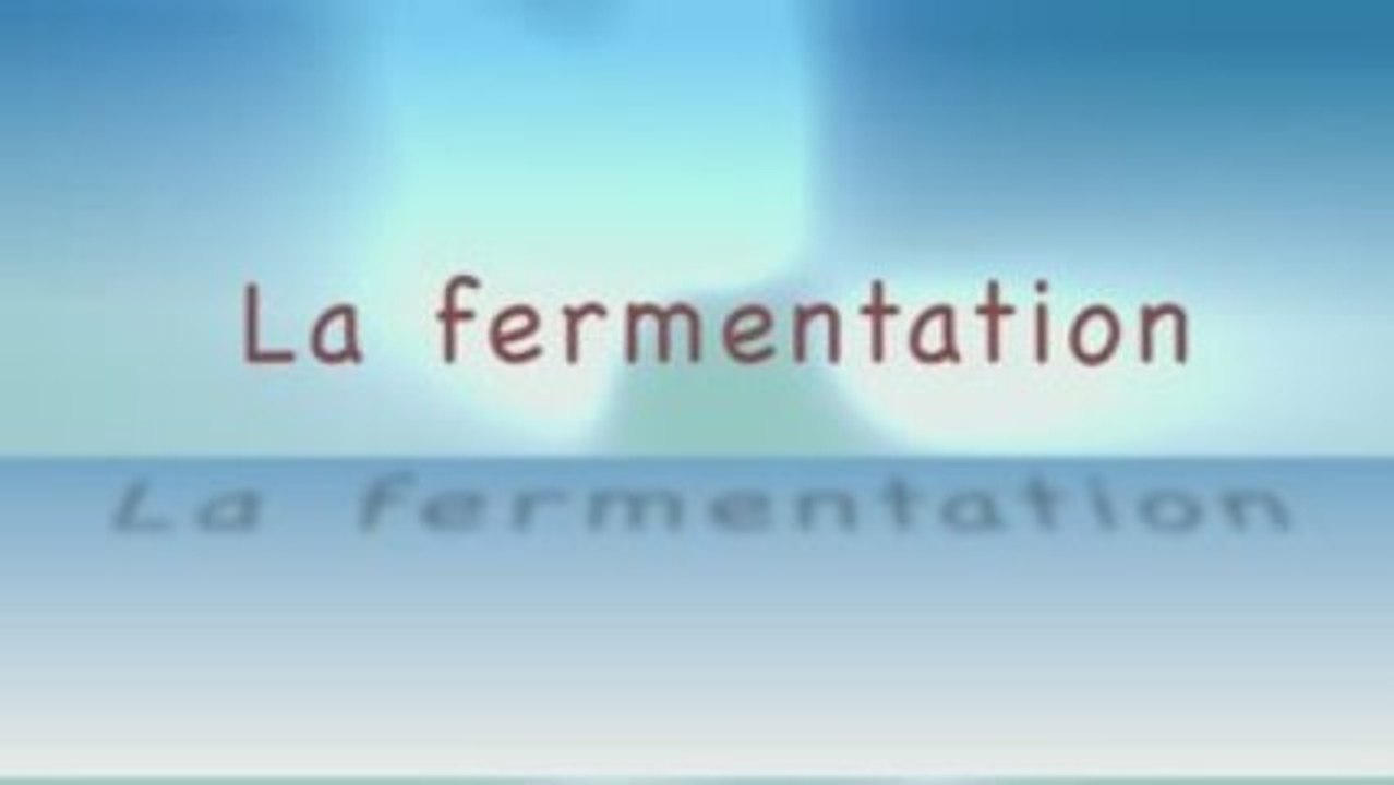 la fermentation V2