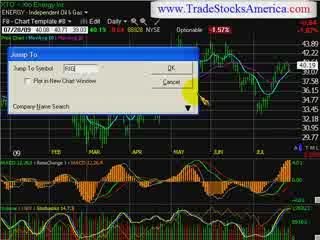 stock market trading newsletter