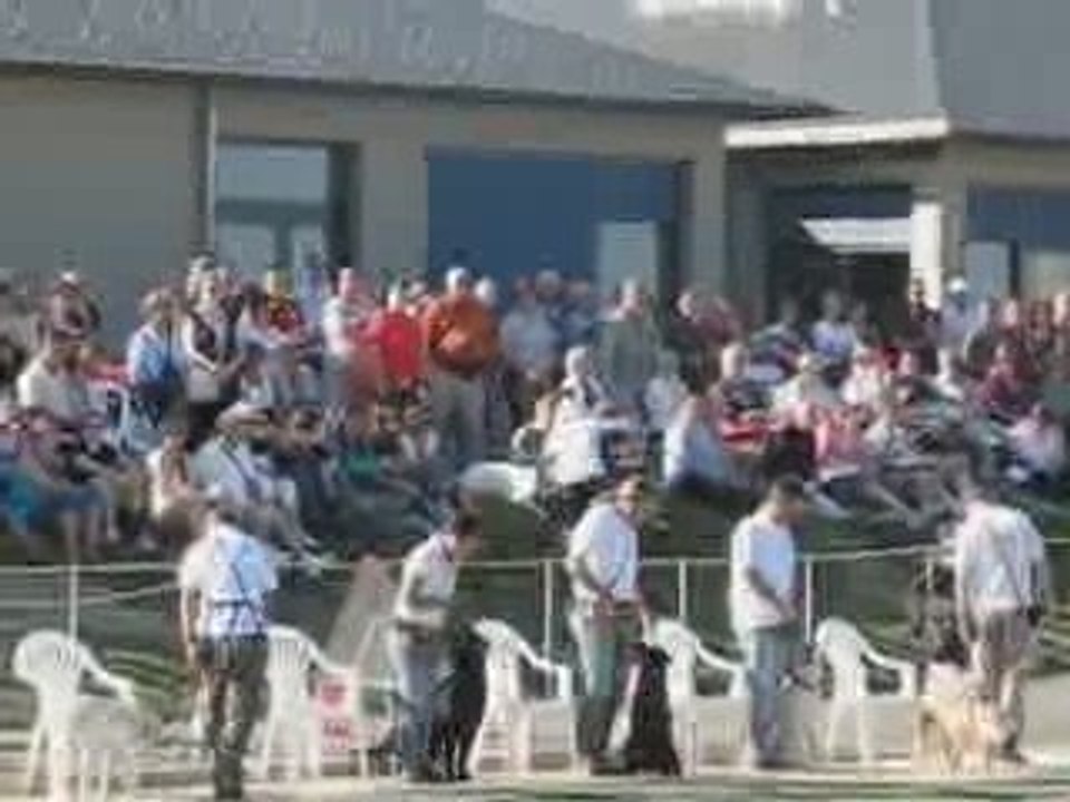 Bouchemaine : Chiens Guides d'Aveugles de l'Ouest