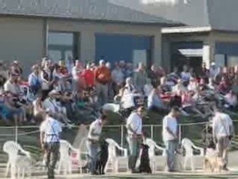 Bouchemaine : Chiens Guides d'Aveugles de l'Ouest