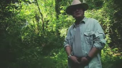 extrait du "vrai faux journal" de dinovotion