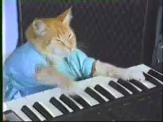 Play me off, Keyboard Cat! (Hotels With Availability)